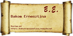 Bakom Ernesztina névjegykártya
